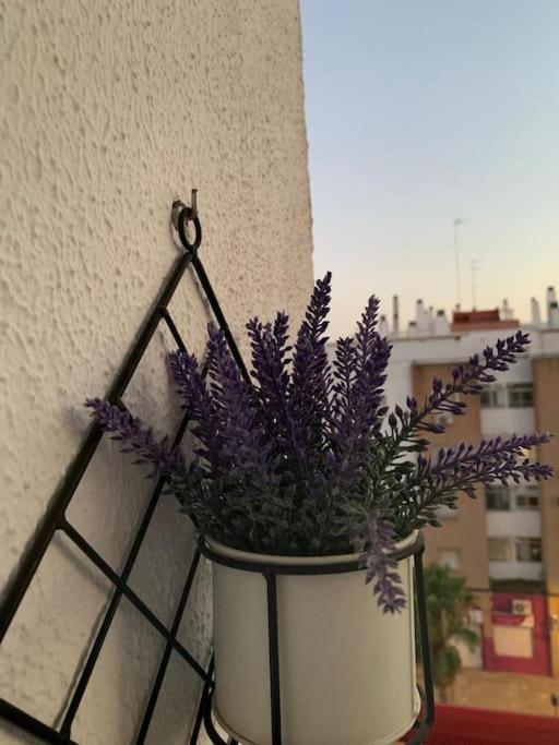Anfitriones De Glamour - Albor De Sevilla Montequinto 外观 照片